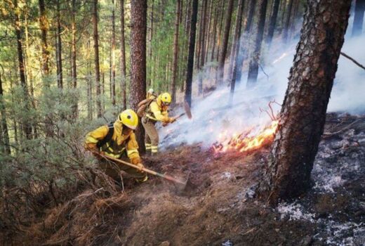 Feuerwehrmänner versuchen den Brand unter Kontrolle zu bekommen