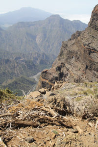 Blick in die Caldera de Taburiente