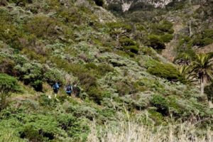 Wandern durch den "grünen" Barranco