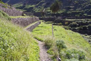 Terrassenfelder bei Vallehermoso - Wanderweg am Barrancorand