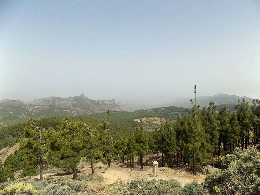 Botanischer Garten Gran Canaria, Tafira