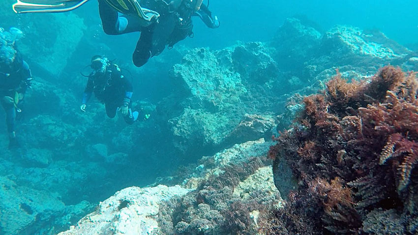 Unterwasserwelt Tauchen Gran Canaria