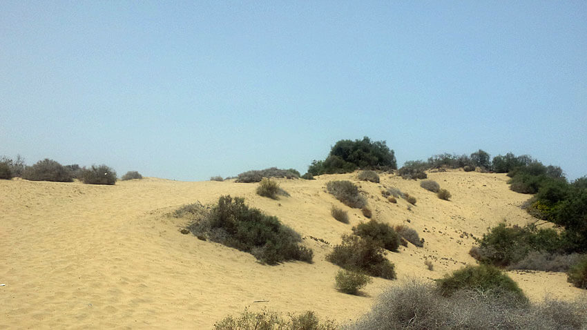 Dünen von Maspalomas, Gran Canaria