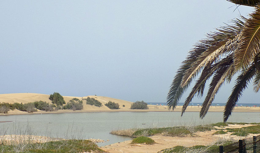 Strand von Playa del Inglés