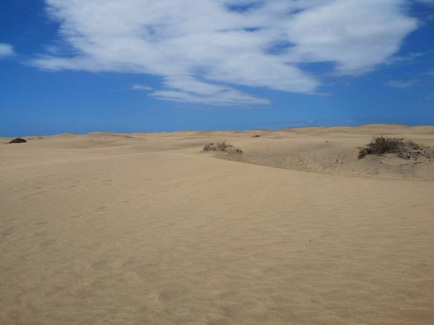 Sanddünen mit blauem Himmel