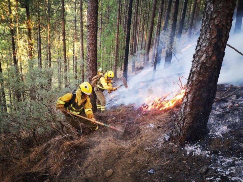 Waldbrände Gran Canaria